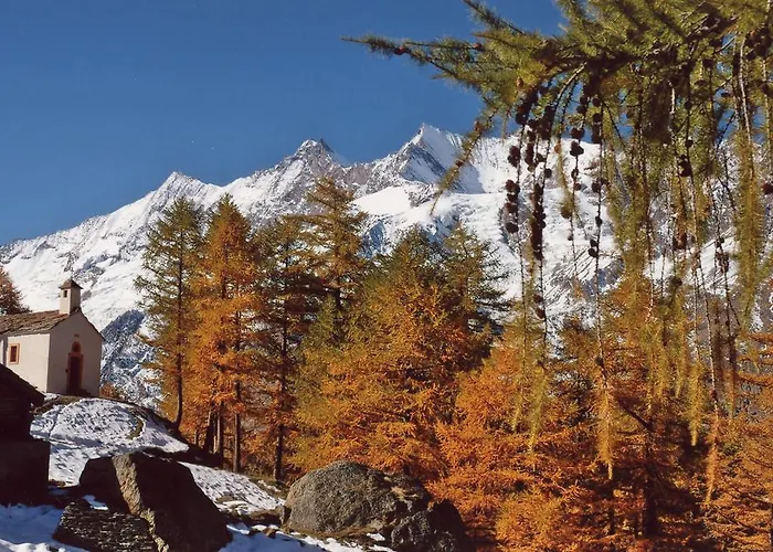 公寓 Alpenhof 萨斯费