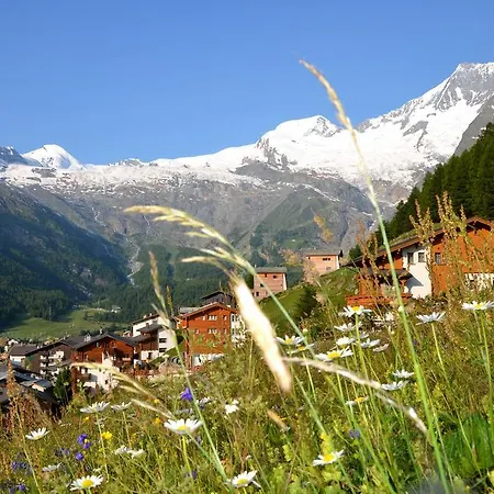 Alpenhof アパート サース フェー