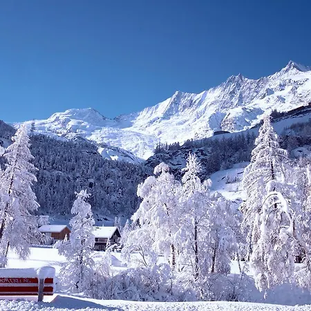 Alpenhof アパート
