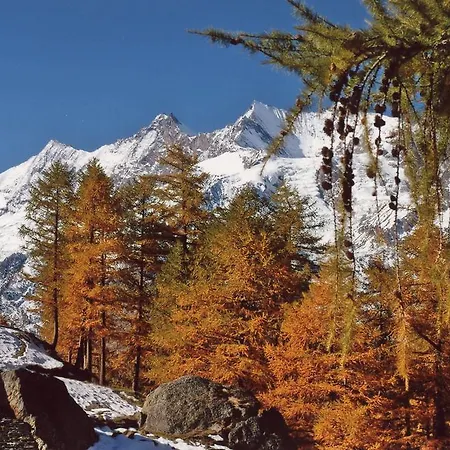 Апартаменти Alpenhof Зас-Фе